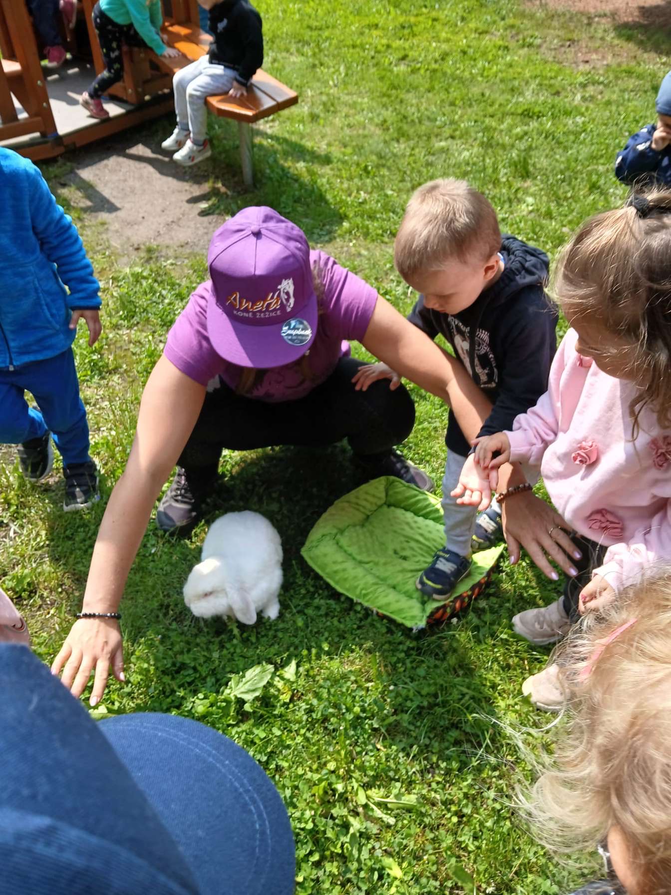 IMG_3487 (1).jpeg IMG_3487 (1).jpeg