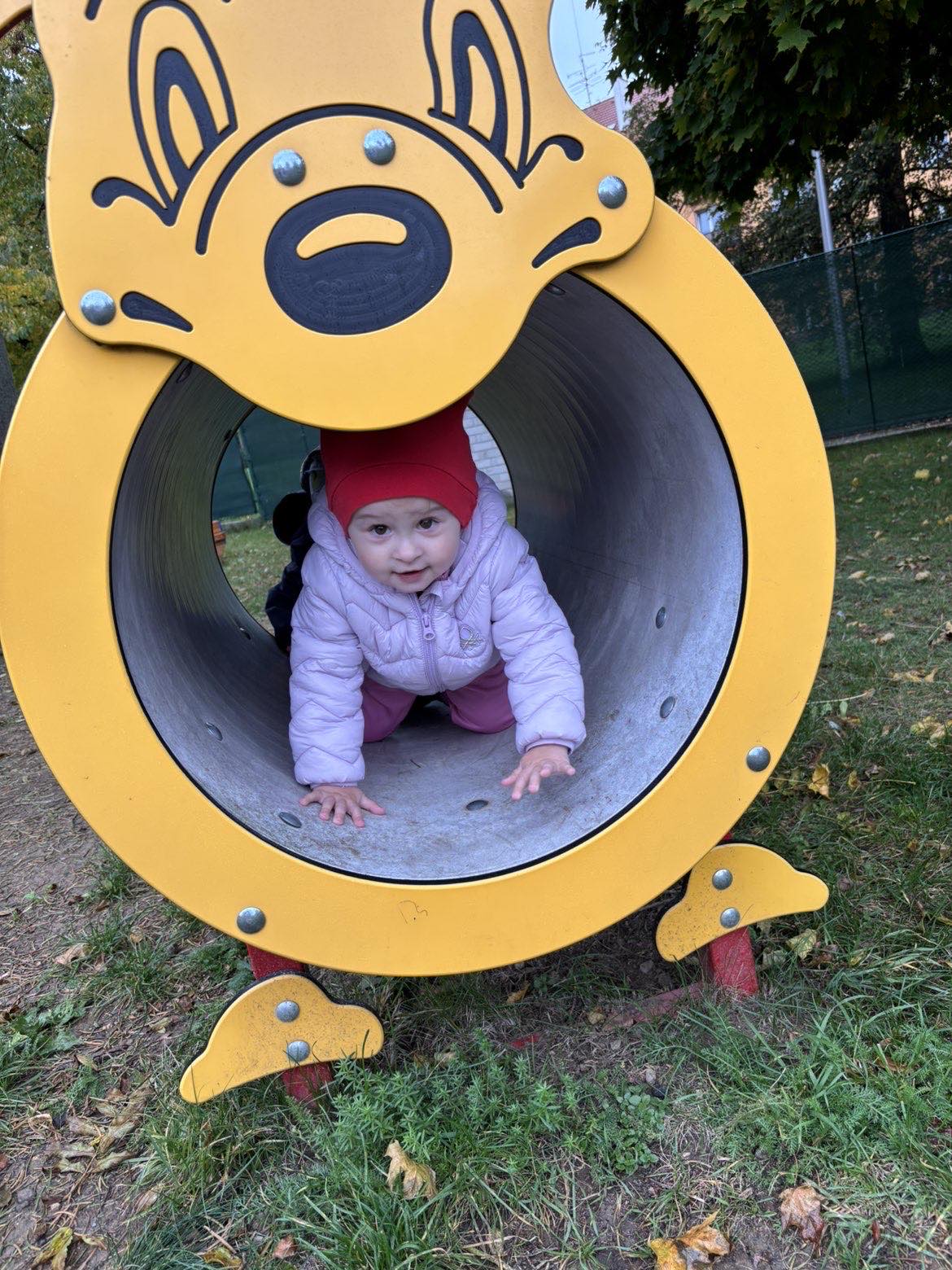 IMG_4691.jpeg IMG_4691.jpeg