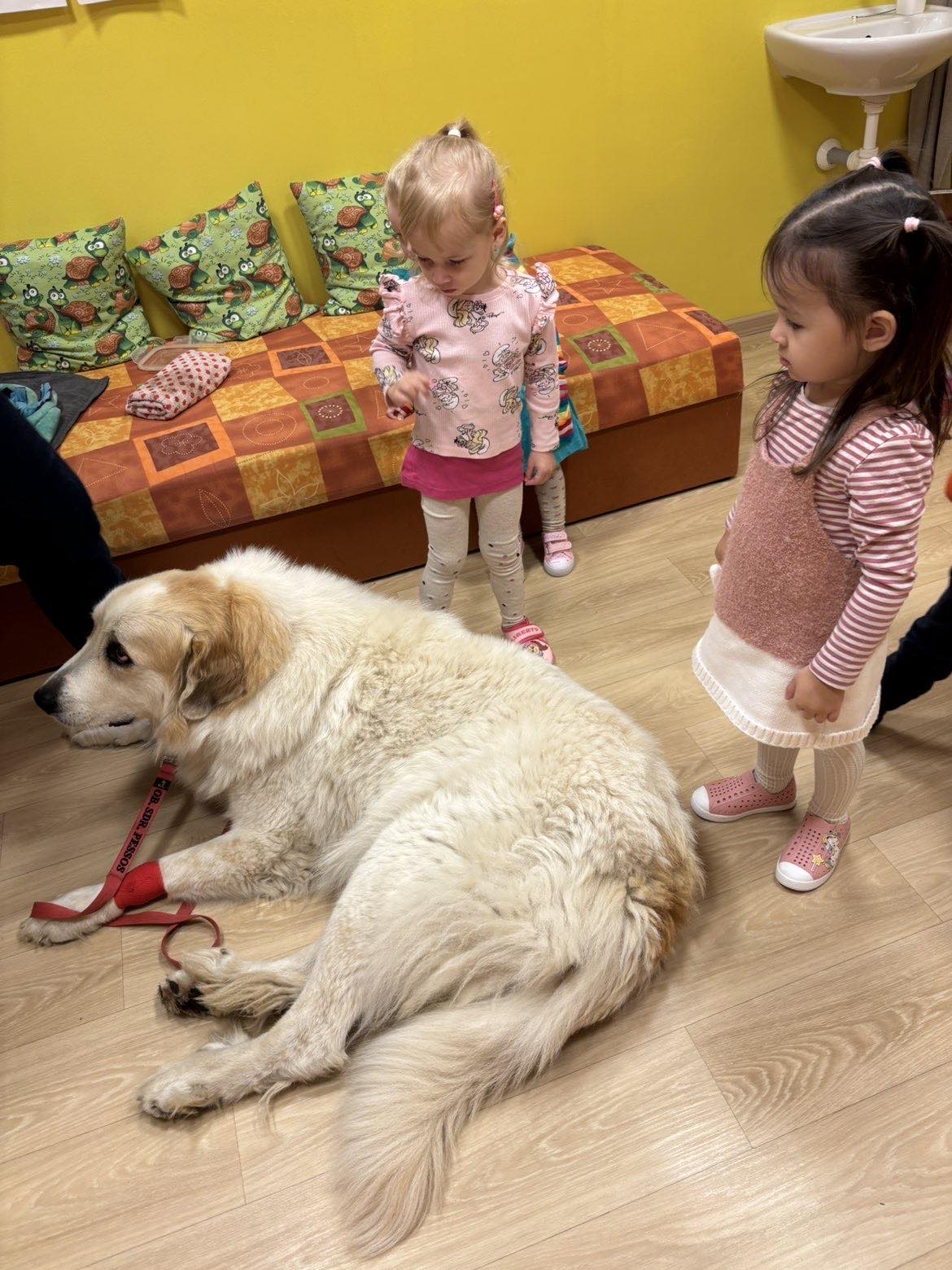 IMG_4852.jpeg IMG_4852.jpeg